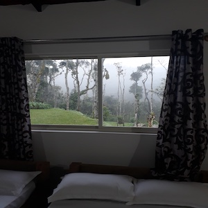 Budget hotels in chikmagalur